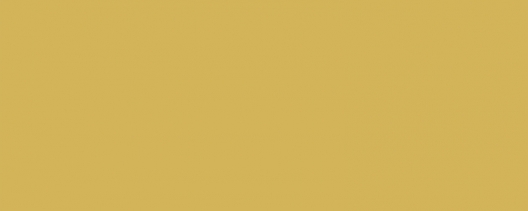 D-ZO100-03 zlatá Výpredaj 2M